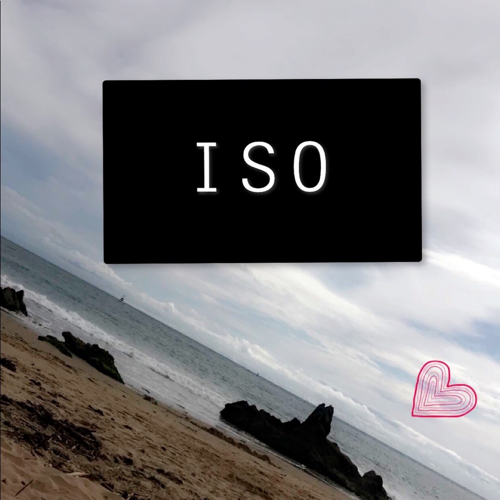 IN SEARCH OF